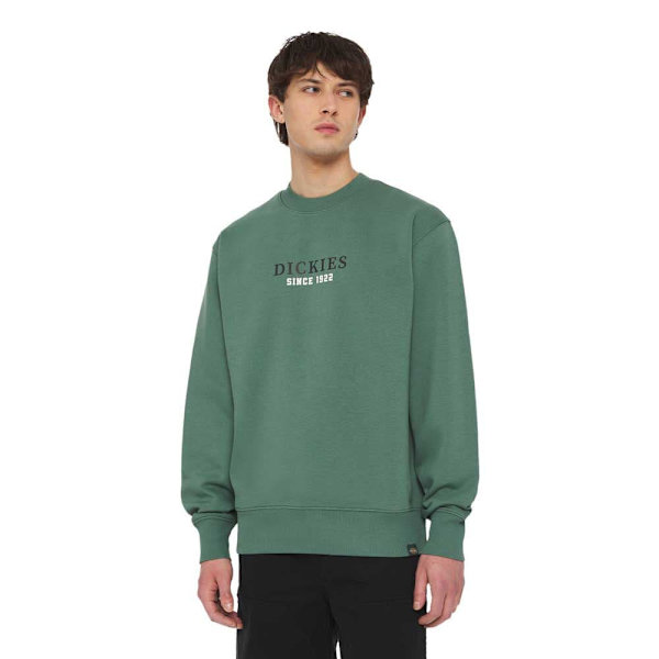 Dickies Park Sweatshirt Grøn M Mand