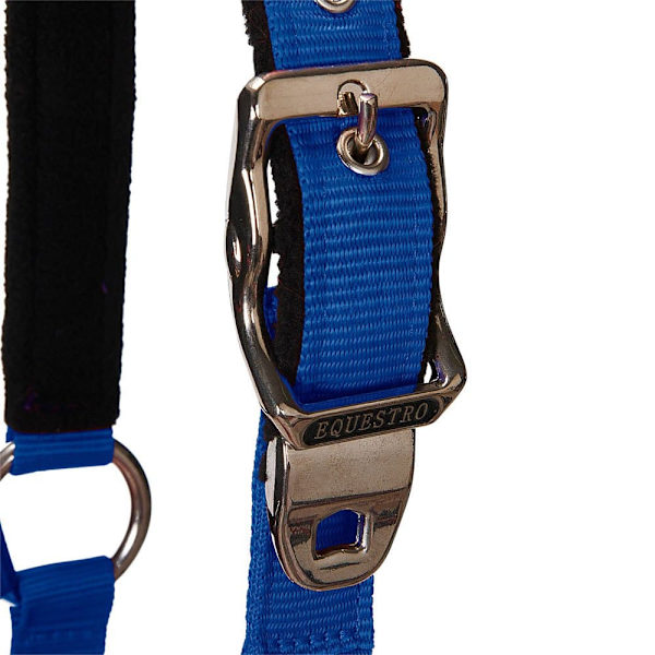 Equestro Grimma&bly Shiny Fittings  Cob