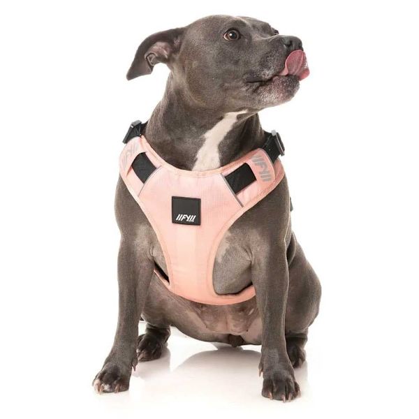Fuzzyard Active Valjaat Go Pinkki XL
