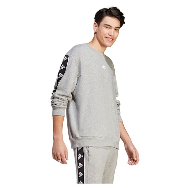 Adidas Sweatshirt Bl Grå L / Regular Mand