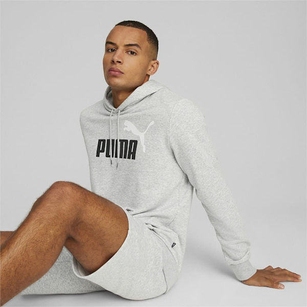 Puma Ess+ 2 Col Big Logo Hættetrøje Grå M Mand