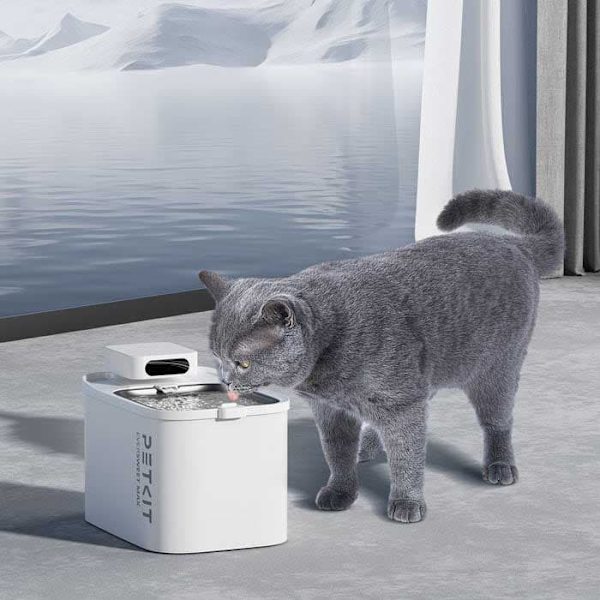 Petkit Filter Unit Rect For Eversweet Max Only Langaton Vesipumppu Vaihdettava 5 Yksiköt