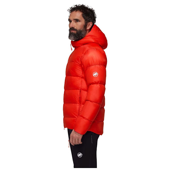Mammut Taiss Pro In Takki Punainen XL Mies
