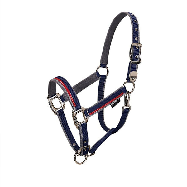 Equestro Red Trim Riimu Ja Talutin  Coby