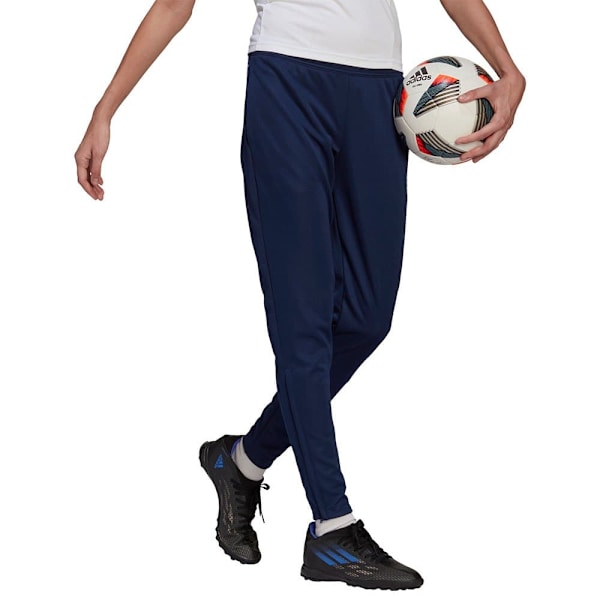 Adidas Byxor Entrada 22 Training Blå XL / Regular Kvinna