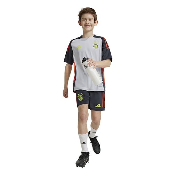 Adidas Benfica Lisboa 24/25 Junior-harjoittelu Lyhythihainen T-paita  9-10 Years