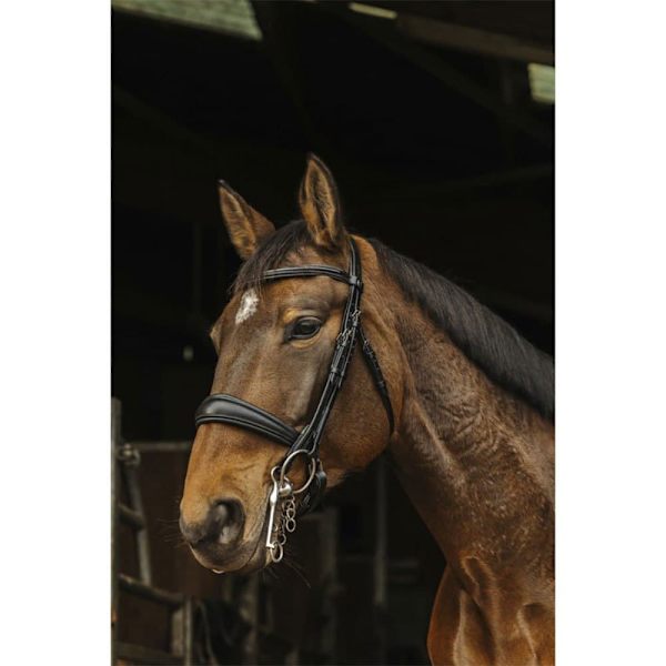 Norton Equestrian Riimu Basal  Cob