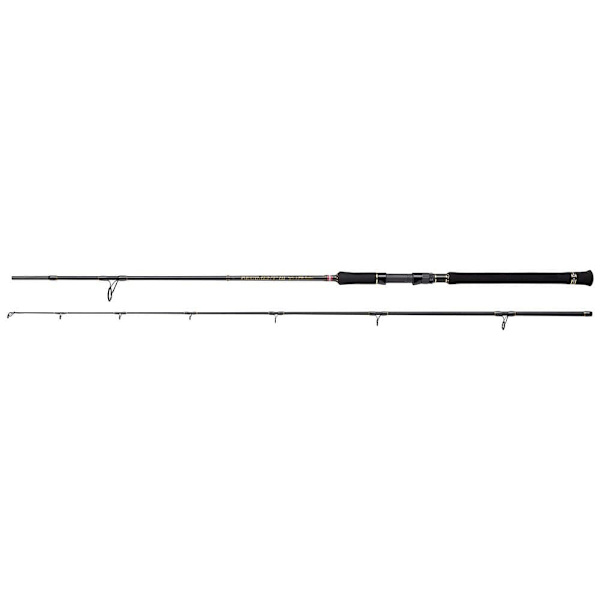 Penn Pyörivä Sauva Regiment Iii Spin&pilk Musta 3.05 m / 20-70 g