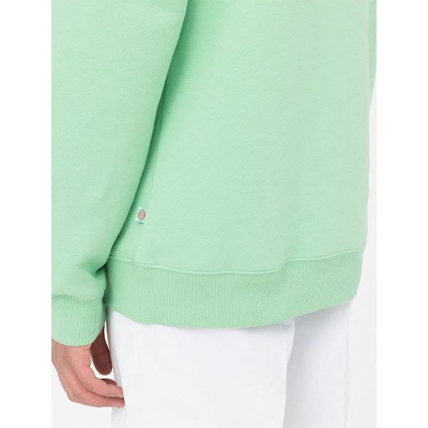 Dickies Luvtröja Oakport Grönt S Man