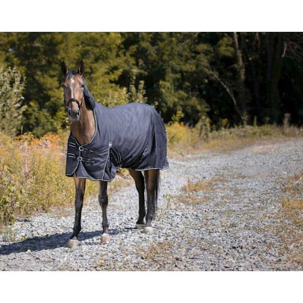 Riding World Äänestysmäärä Matto Impermeable Oxford Polyfil 220g Musta 183-135 cm