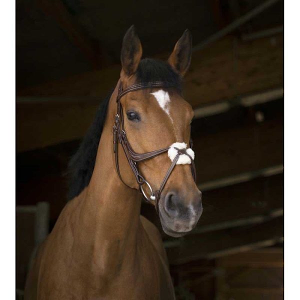 Norton Equestrian Grimma Med Nosgrimma Crossed Brun Cob