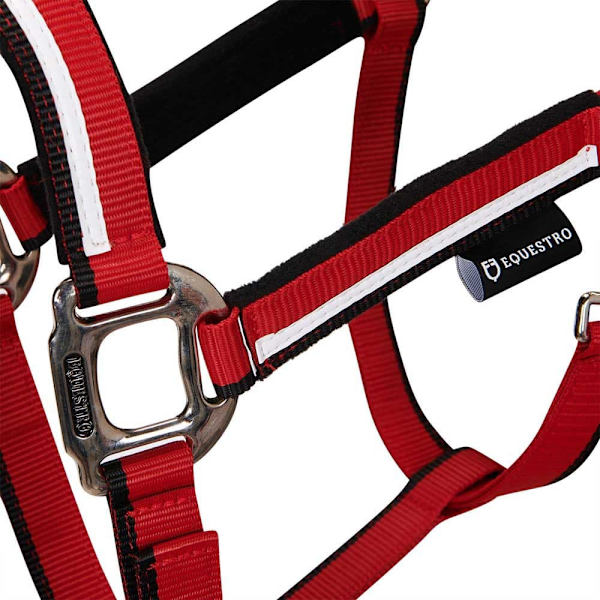 Equestro White Trim Riimu Ja Talutin  Pony