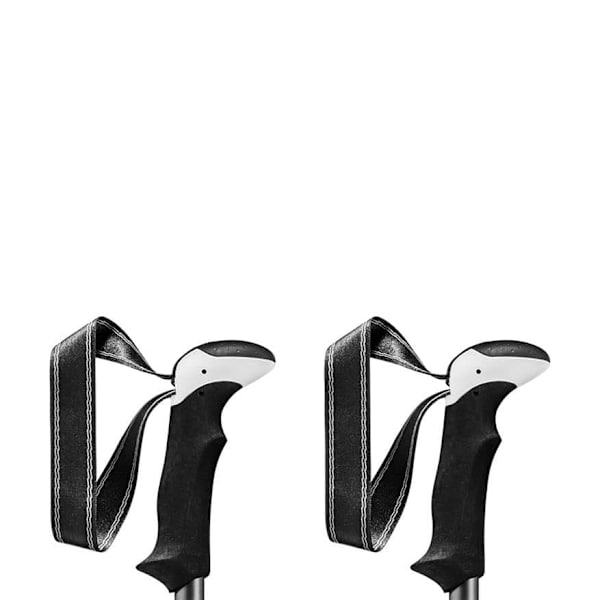 Leki Khumbu Pro Stavar Silver 110-145 cm
