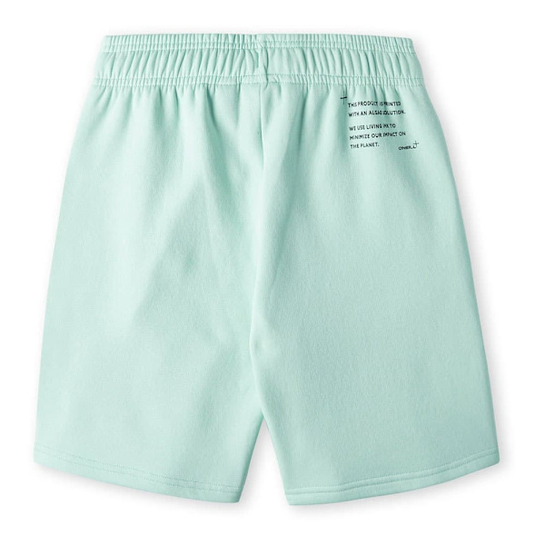 O´neill Future Surf Shorts Grönt 9-10 Years Pojke
