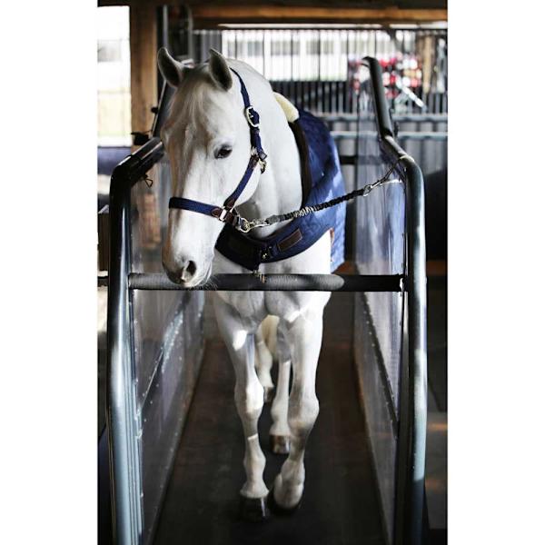 Kentucky Tæppe Walker 160g  140 cm