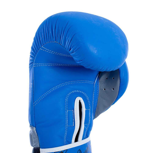 Fullboxing Boksehandsker I Kunstlæder Master Blå 10 oz