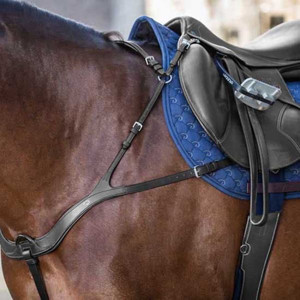 Dyon Anatomisk Bröstskydd New English Collection  Cob