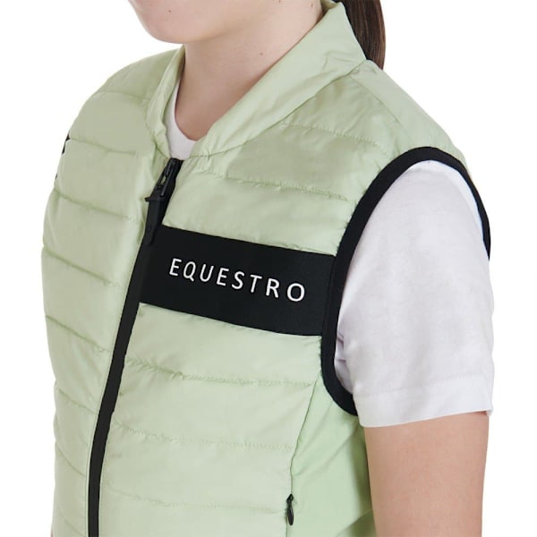 Equestro Liivi  10 Years