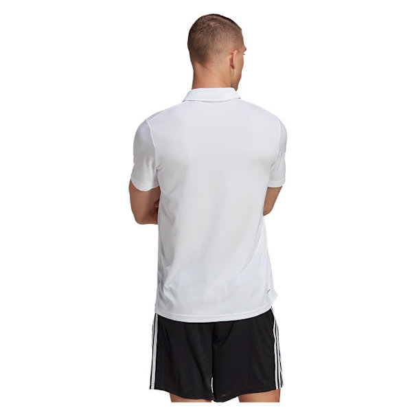 Adidas Lyhythihainen Poolo Tr-es Base Valkoinen M / Regular Mies