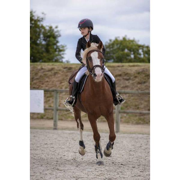 Equitheme Jacka Classic Softshell Svart 44