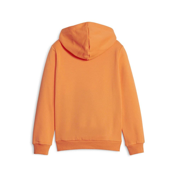 Puma Luvtröja Ess Block Fl Orange 3-4 Years Pojke