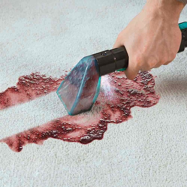 Cecotec Conga 5000 Carpet&spot Clean Verhoiluimuri  One Size / EU Plug