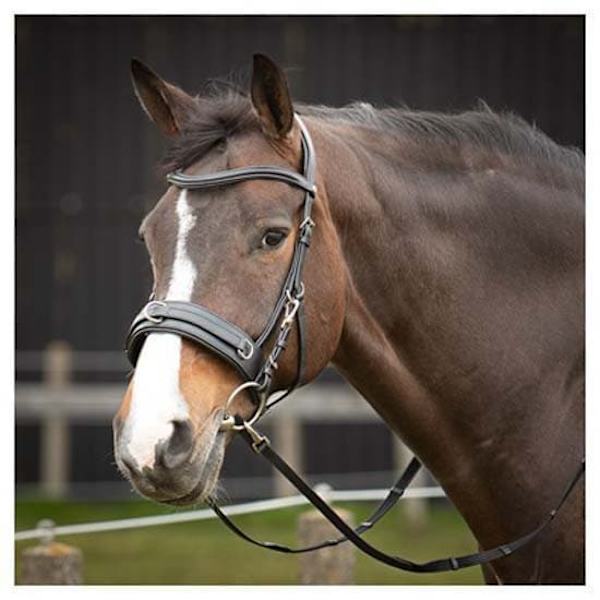 Harry´s Horse Comfort Nahkainen Suitset  Pony