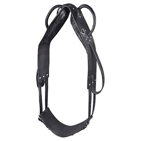 Star Lunging Surcingle Musta Full