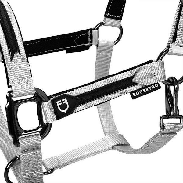 Equestro Elegance Riimu Ja Talutin  Coby