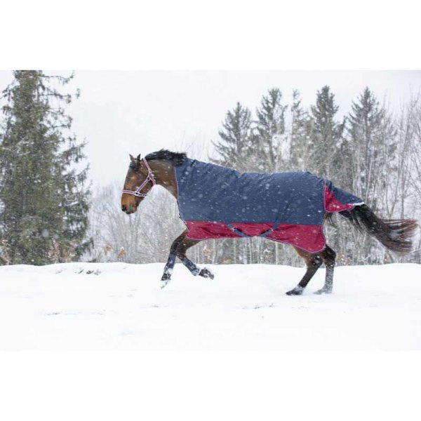 Equitheme Hög Hals Valdeltagande Matta Tyrex 1200 D Polyfil 50g Blå 215-165 cm