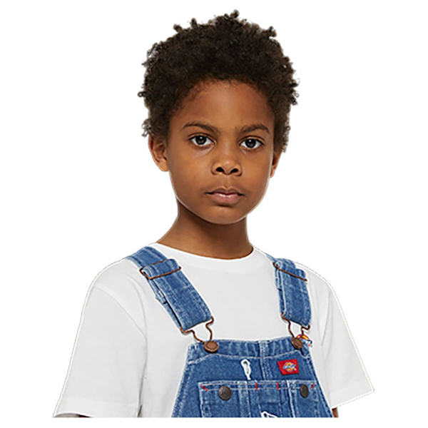 Dickies Denim Overall Blå XL / Regular Man