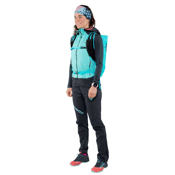 Dynafit Trail Løbesko Feline Sl Goretex Blå EU 39 Kvinde