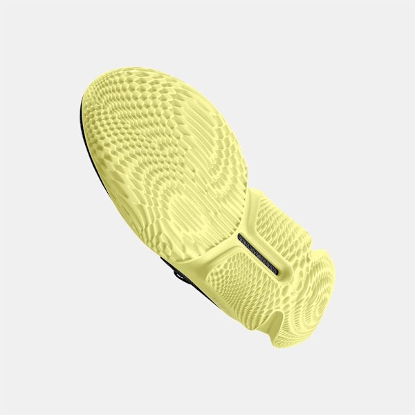 Under Armour Basketball Sko Flow Futr X 3  EU 44 Mand
