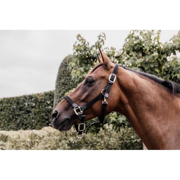 Kentucky Punottu Riimu Nylon  Full