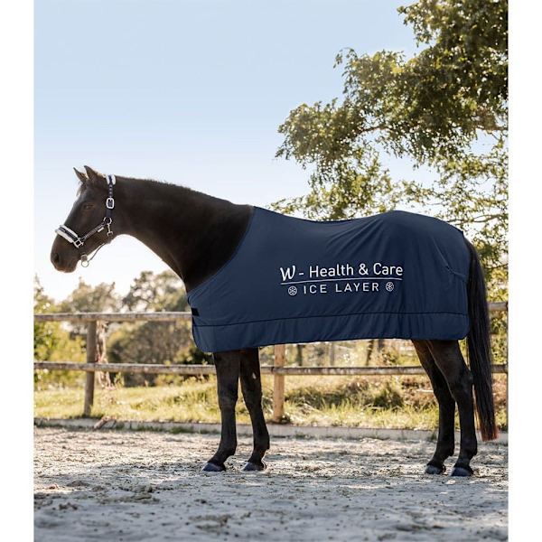 Waldhausen Matto W-health&care Ice Layer  115 cm