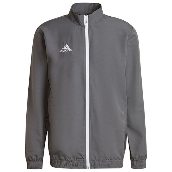 Adidas Jacka Entrada 22 Grå L / Regular Man