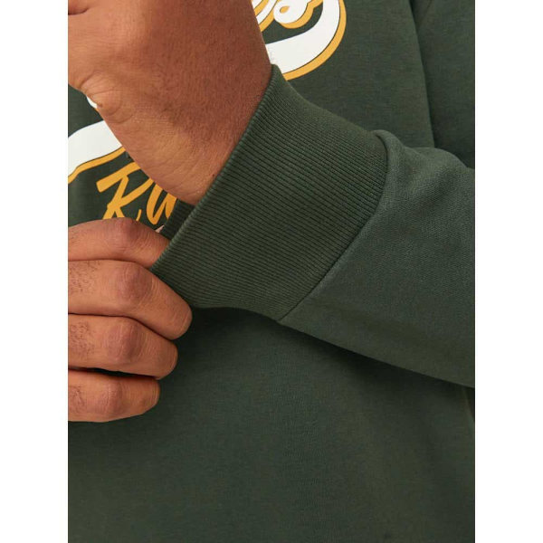 Jack & Jones Logo 2 Col Plus Size Hættetrøje Grøn 2XL Mand