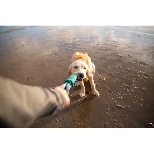 Ruffwear Pacific Loop™ Monivärinen