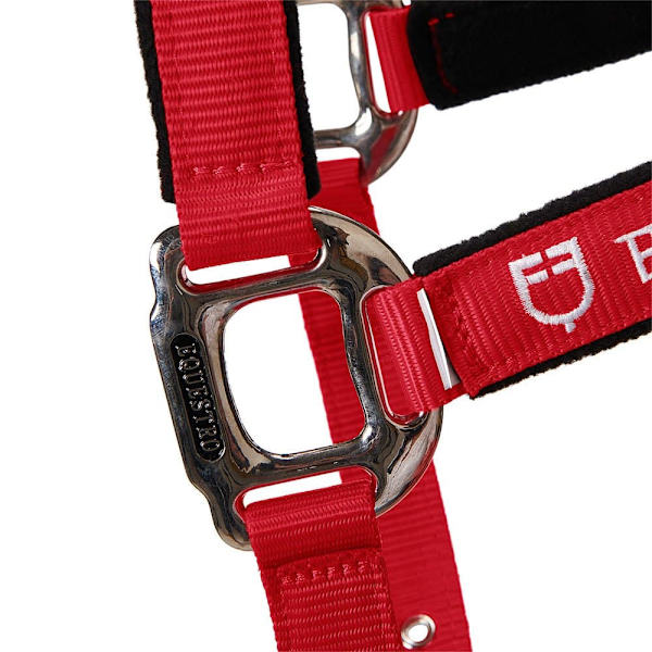 Equestro Riimu Ja Lyijy Shiny Fittings  Full