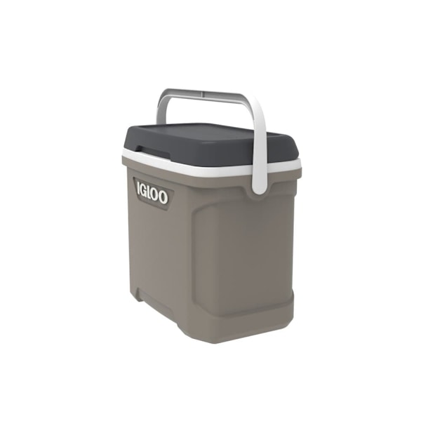 Igloo Coolers Styv Bärbar Kylare Profile Sportsman 30 28l Durchsichtig