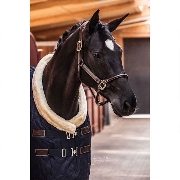 Kentucky Läder Grimma Anatomic  Cob