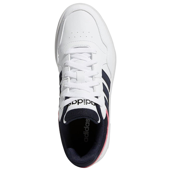 Adidas Utbildare Hoops 3.0 Vit EU 37 1/3 Kvinna