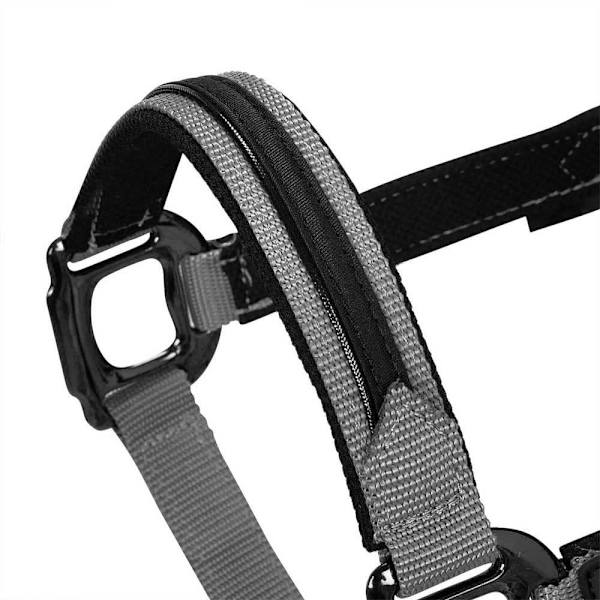 Equestro Elegance Riimu Ja Talutin  Coby