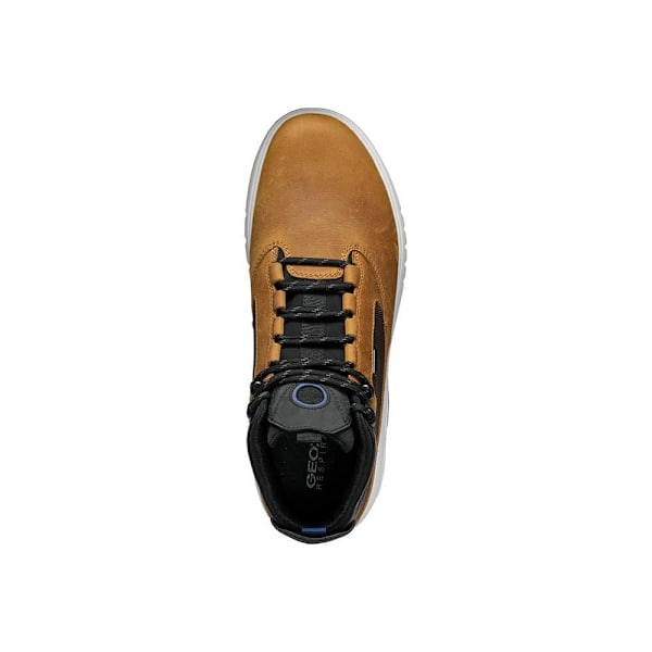 Geox U Aerantis 4x4 B Abx Booties Brun EU 42 Mand