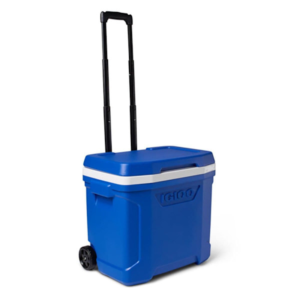 Igloo Coolers Hjul, Styv Bärbar Kylare Profile Majestic 28 26l Blå