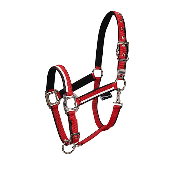 Equestro White Trim Riimu Ja Talutin  Full
