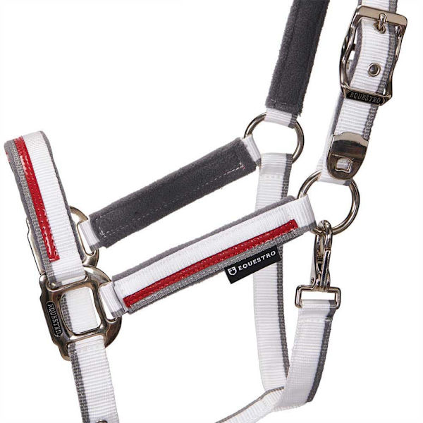 Equestro Red Trim Riimu Ja Talutin  Coby
