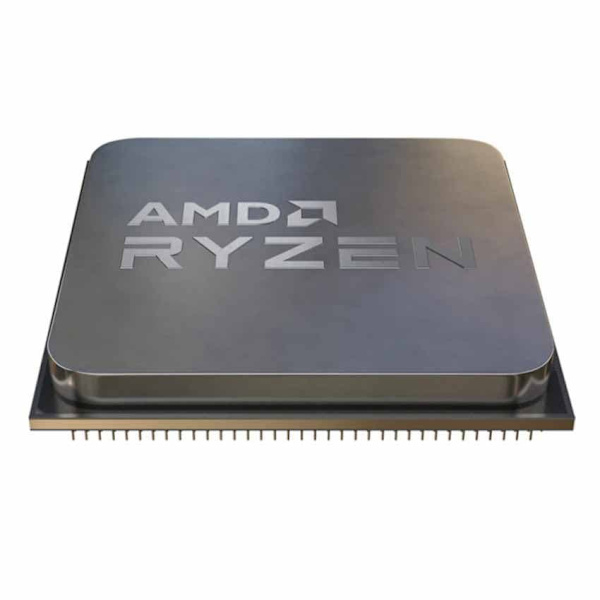 Amd Processor R5-8600g