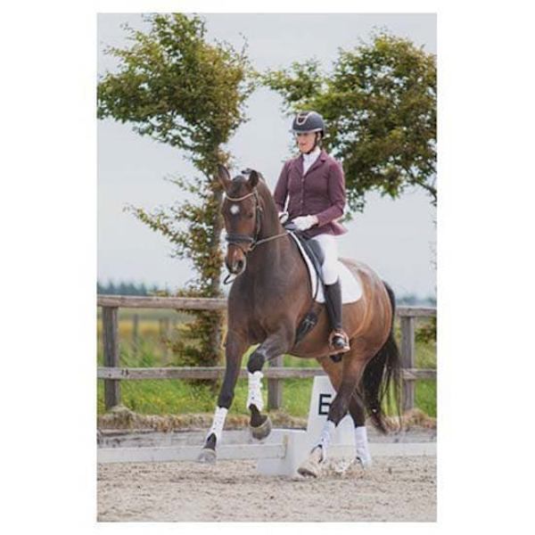 Harry´s Horse Crystal Jacka  2XS