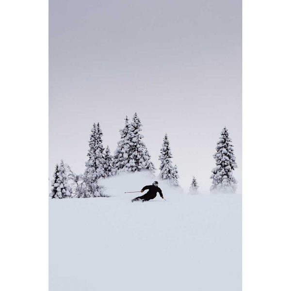 Extrem Skis Project 91 Alpinskidor Blå 185